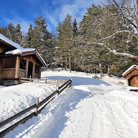 Gamlestugu Greivjord Fjellgard Villa Tuddal Eksteriør bilde
