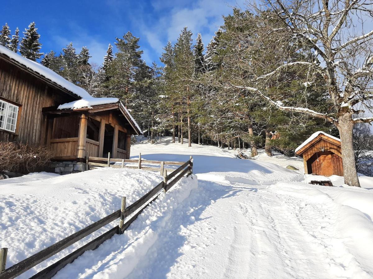 Gamlestugu Greivjord Fjellgard Villa Tuddal Eksteriør bilde