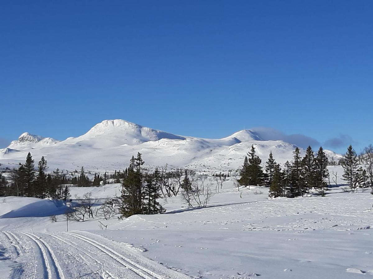 Gamlestugu Greivjord Fjellgard Villa Tuddal Eksteriør bilde